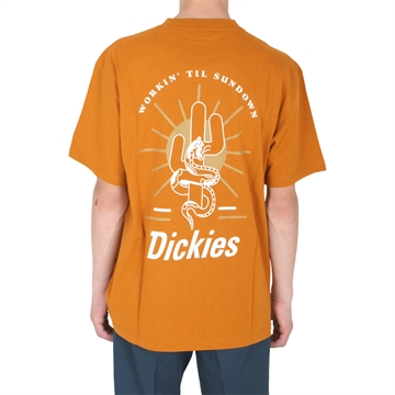 Dickies T-shirt Bettles s/s Pumpkin Spice